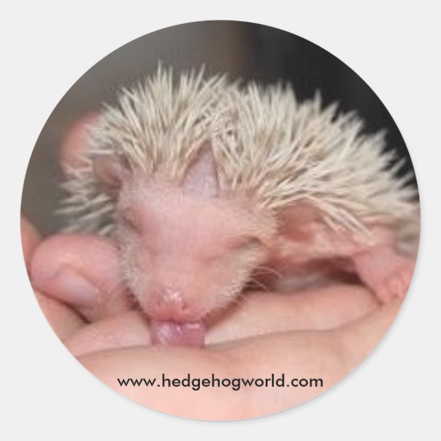 Licking bébé autocollant (Devant)