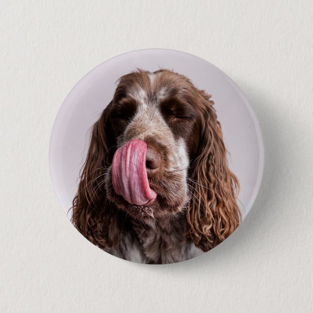Licking Cocker Spaniel Pin Badge (Devant)