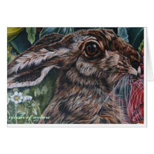 lièvres aujourd'hui allés demain