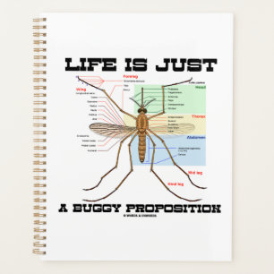 Life Is Just A Buggy
