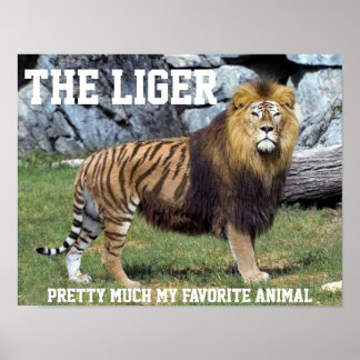 LIGER ASSEZ MON ANIMAL PRÉFÉRÉ POSTER