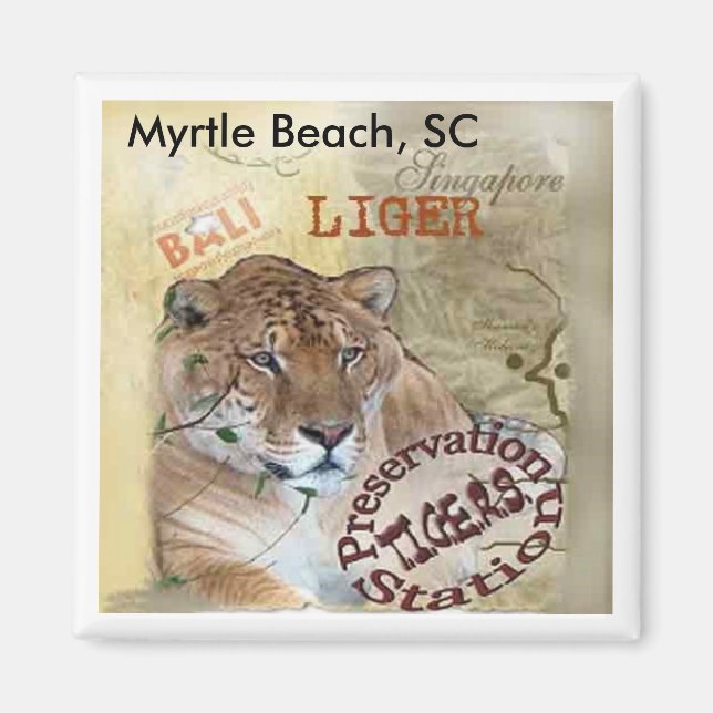 Liger Magnet - Myrtle Beach, SC (Devant)