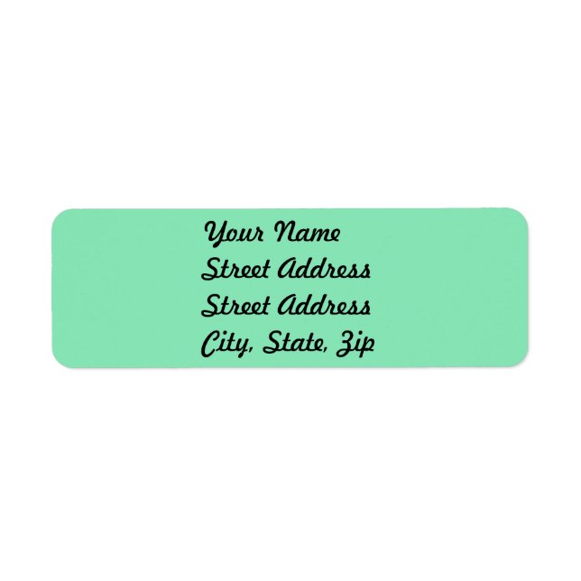 Light Pastel Mint Green Retours Adresse Sticker (Devant)