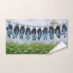 Ligne chiots d'ours de Notta