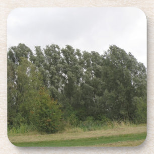 Ligne d'arbres penchés Paysage Dessous de verre de