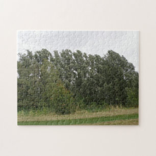 Ligne d'arbres penchés Puzzle paysager