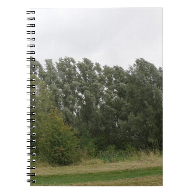 Ligne de Carnet paysager des arbres penchés (Devant)