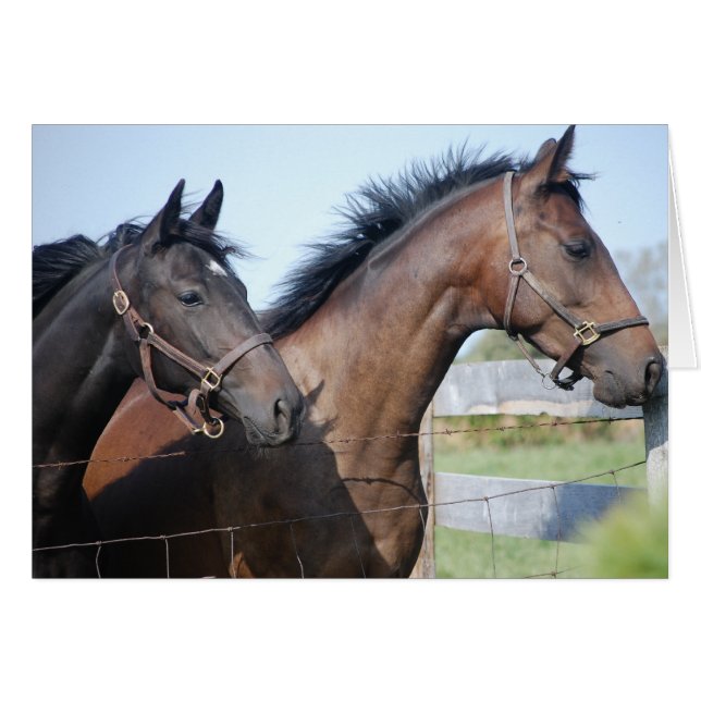 Ligne de fin de course de cheval (Devant horizontal)