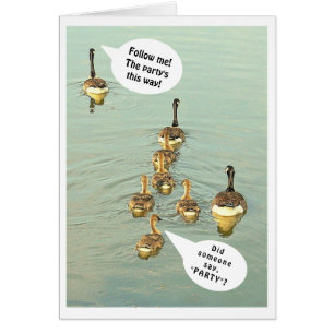 LIGNE DE GEESE/SUIVEZ-MOI ! LA FÊTE EST COMME ÇA !