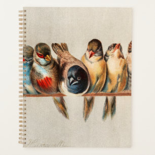 Ligne d'oiseaux et de colombes
