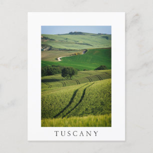 Lignes courbes en vert Toscane élégant carte posta