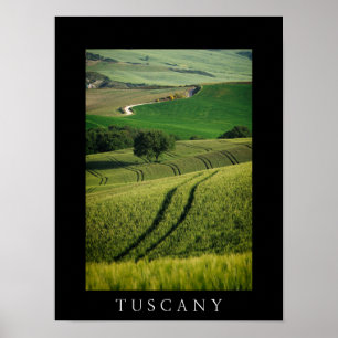 Lignes courbes en vert Toscane noir poster