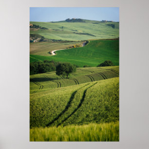 Lignes courbes sur une affiche de la Toscane verte