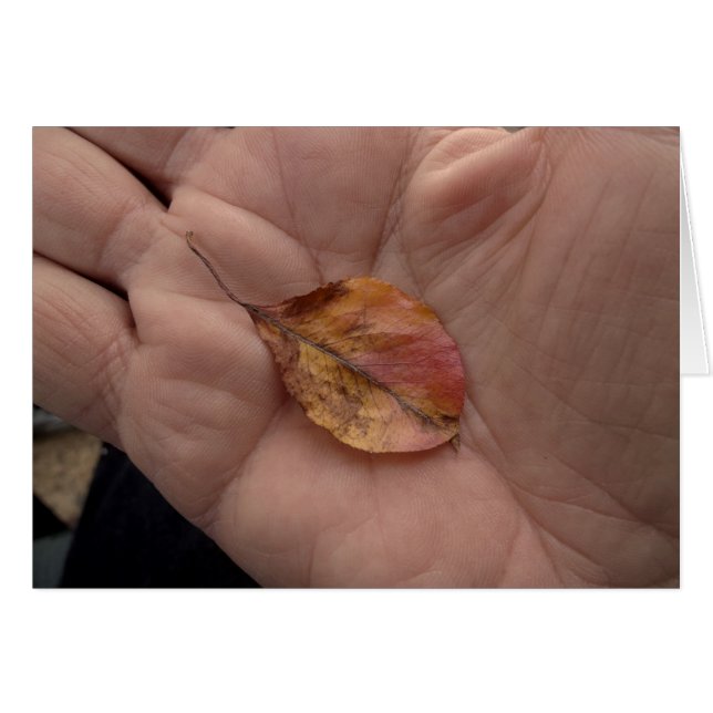 Lignes de vie 2014 (Devant horizontal)