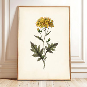 Ligularia botanique Art mural Cottagecore