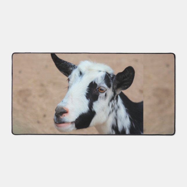 Lil chèvre (Recto)