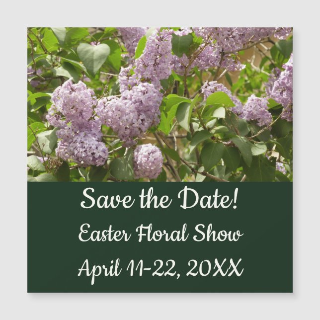 Lilac Bush Belles fleurs de printemps violettes (Devant)