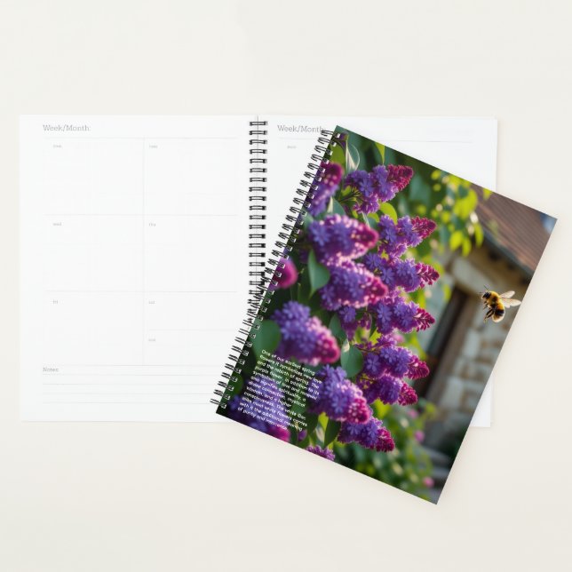 Lilac Symbolism Calendar (Devant avec enveloppe)