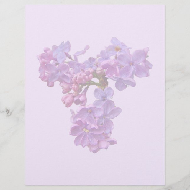 Lilacs au printemps (Devant)