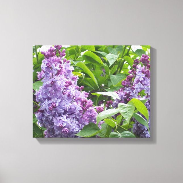 Lilacs d'art en toile (Recto)