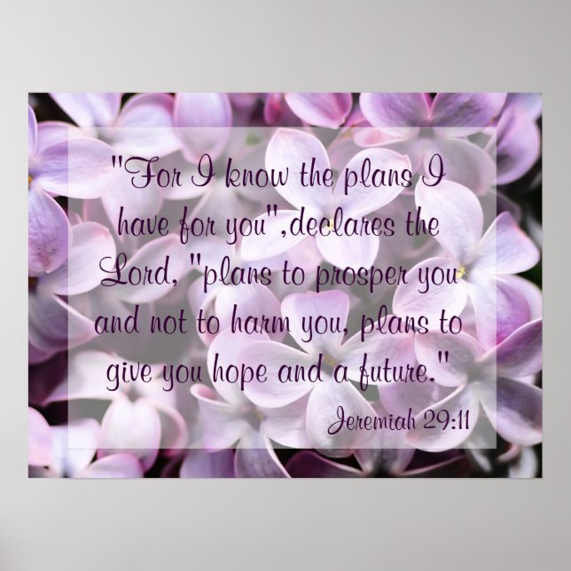 Lilacs Jeremiah 29:11 Poster (Devant)