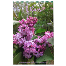 Lilacs—TOUS LES LILACS ! ! calendrier photo