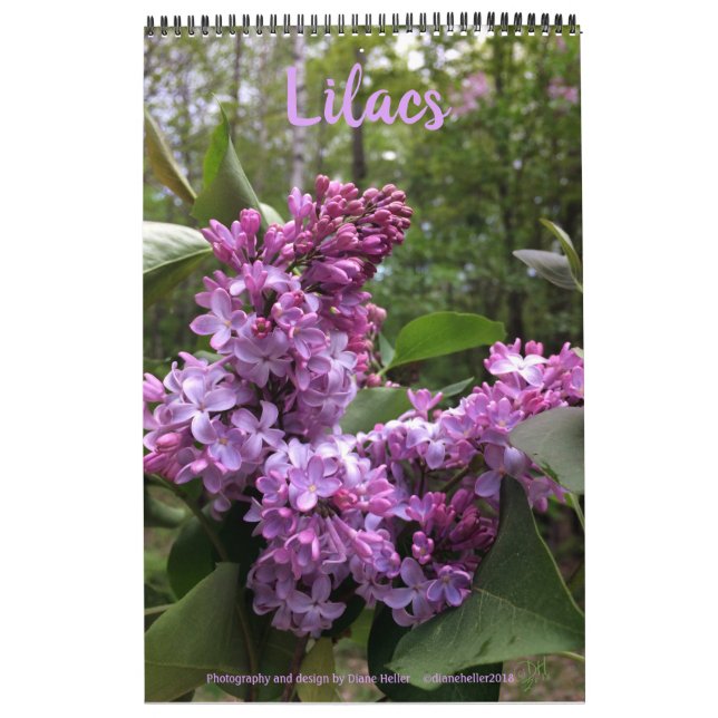 Lilacs—TOUS LES LILACS ! !  calendrier photo (Protection)
