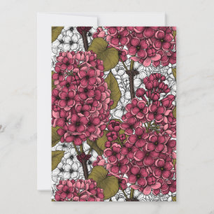 Lilas