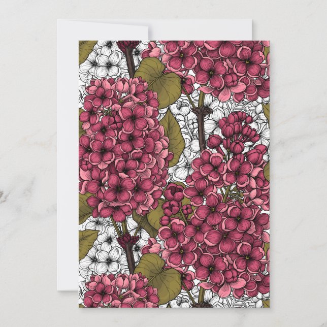 Lilas (Devant)