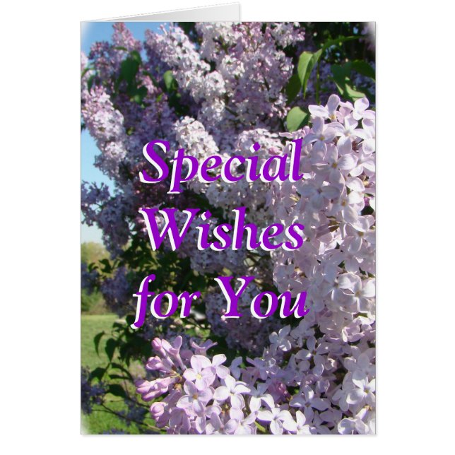 Lilas dans la fleur-personnaliser pour toute (Devant)