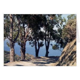 L'île de Catalina
