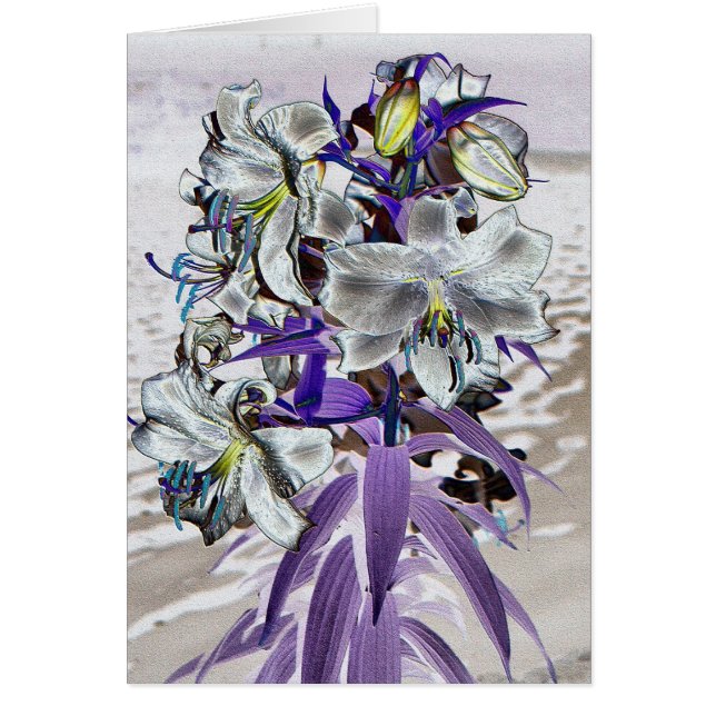 Lilies (Devant)