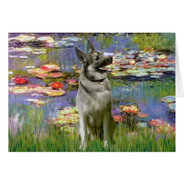 Lilies 2 - Elkhound norvégien (Devant horizontal)