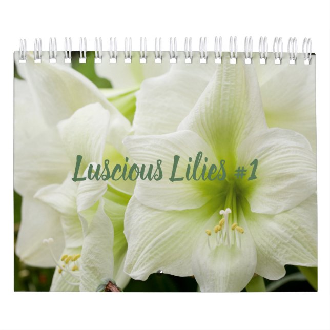 Lilies lustres #1 Calendrier (Protection)