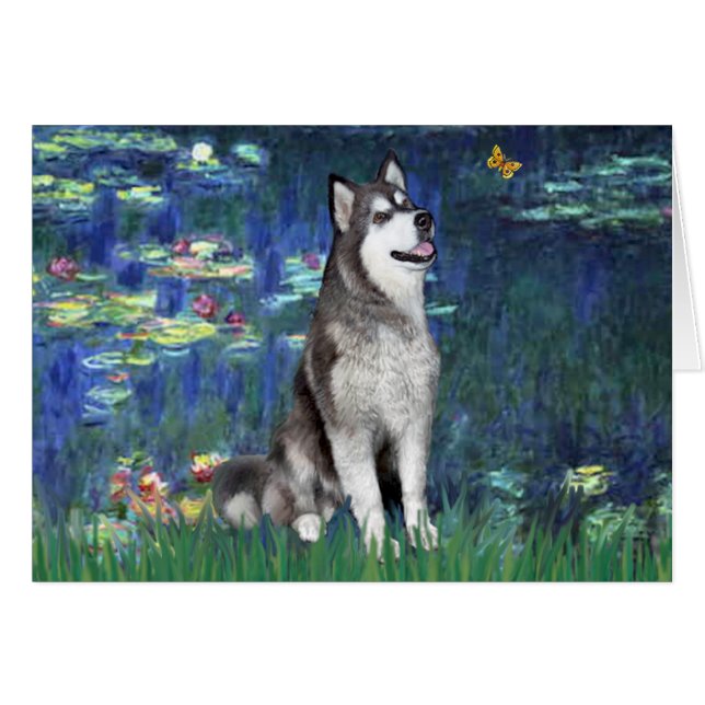 Lililes #5 - Malamute d'Alaska (Devant horizontal)