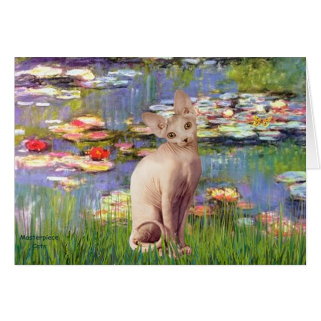 Lillies 2 - Chat Sphynx crème (Devant horizontal)