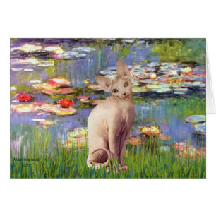 Lillies 2 - Crème Sphynx chat