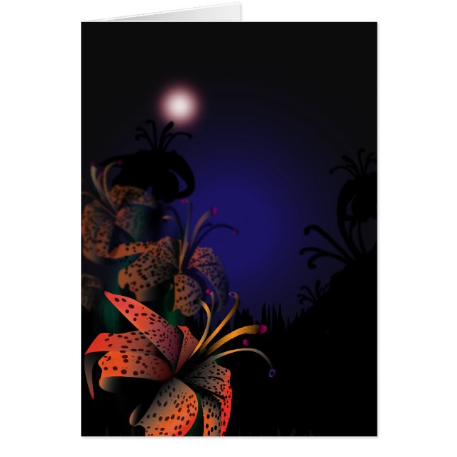 Lillies de minuit (Devant)