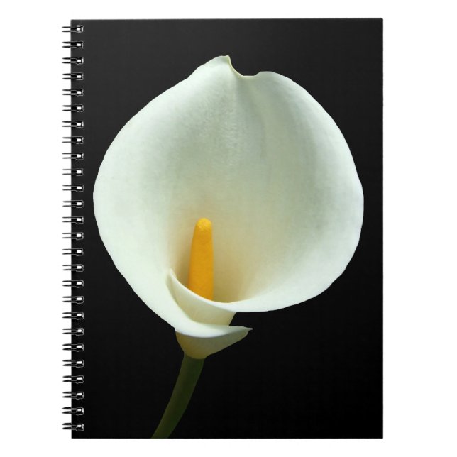 Lilly Carnet (Devant)