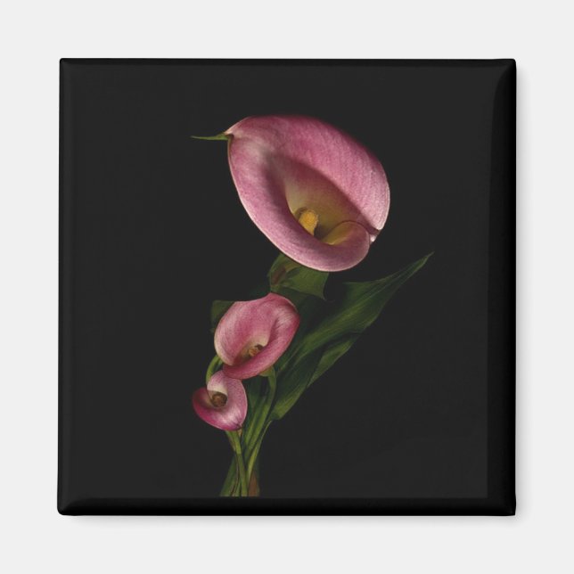 Lilly Magnet (Devant)