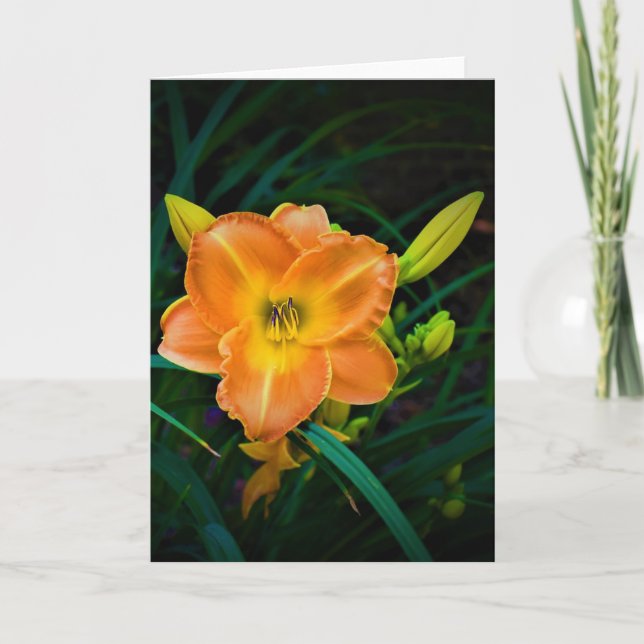 Lily, carte (Devant)