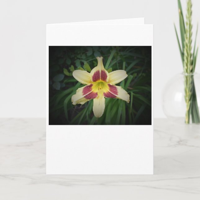 Lily, carte (Devant)