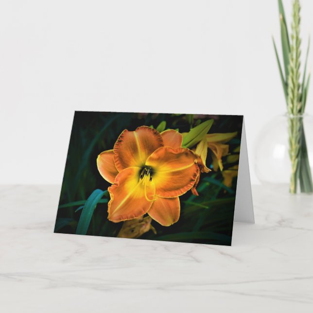 Lily, carte (Devant)