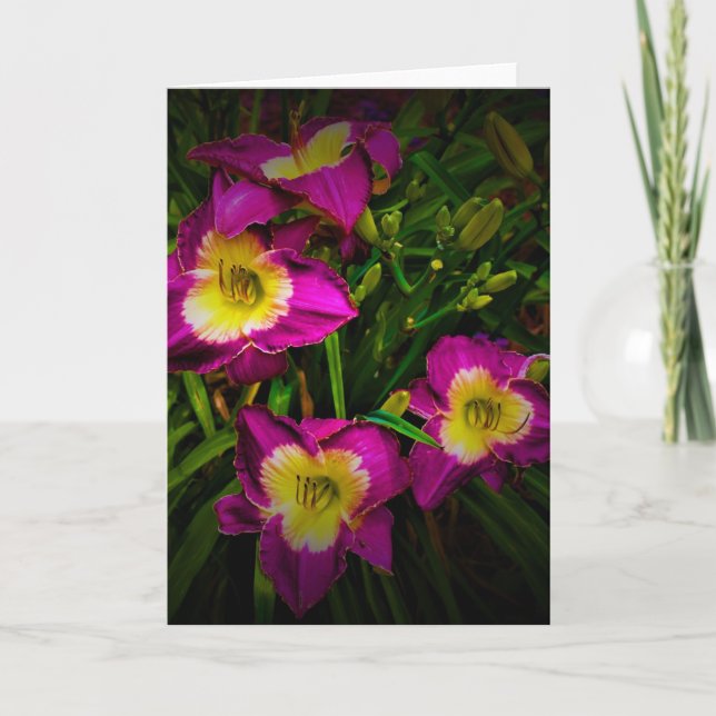 Lily, carte (Devant)