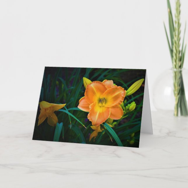 Lily, carte (Devant)