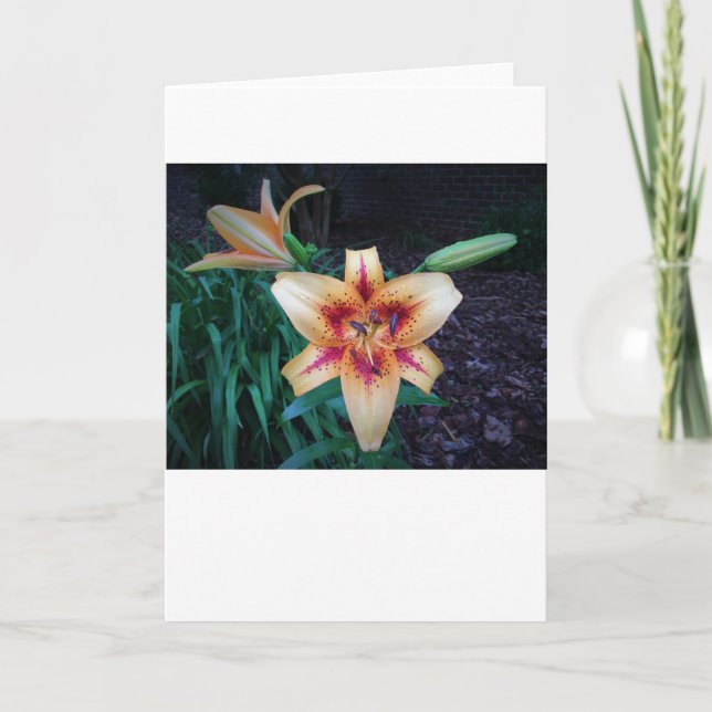 Lily, carte (Devant)