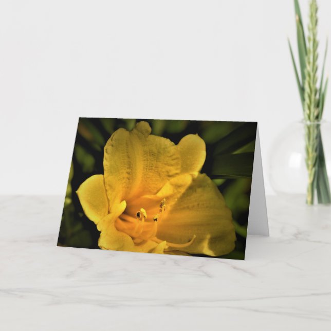 Lily, carte (Devant)