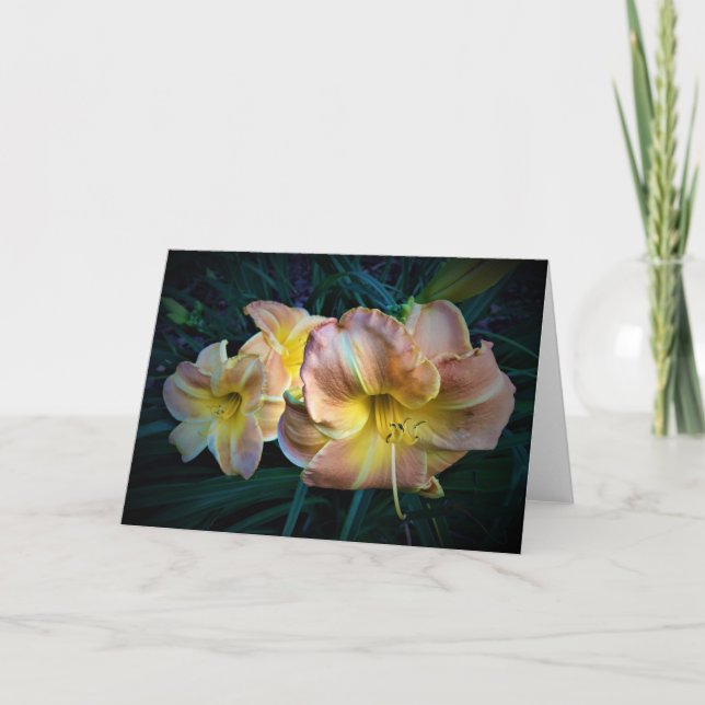 Lily, carte (Devant)