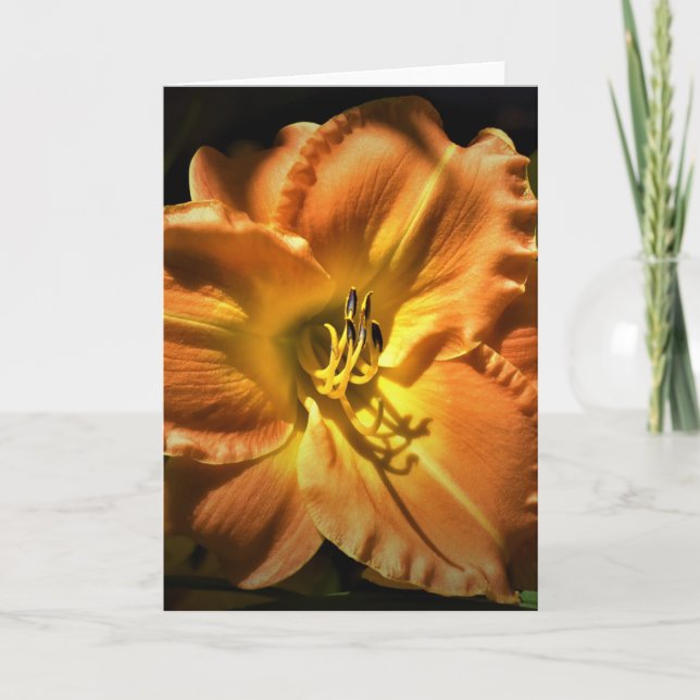 Lily, carte (Devant)