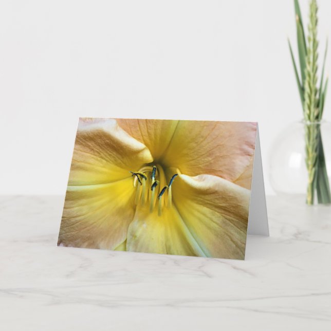 Lily, carte (Devant)